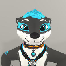 The Awtter
